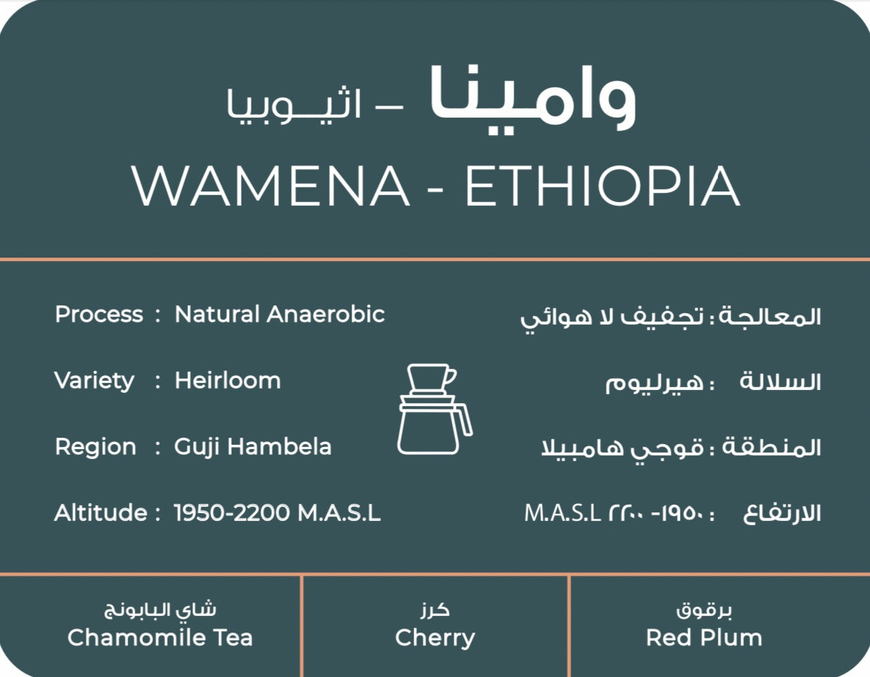 WAMENA FILTER - ETHIOPIA