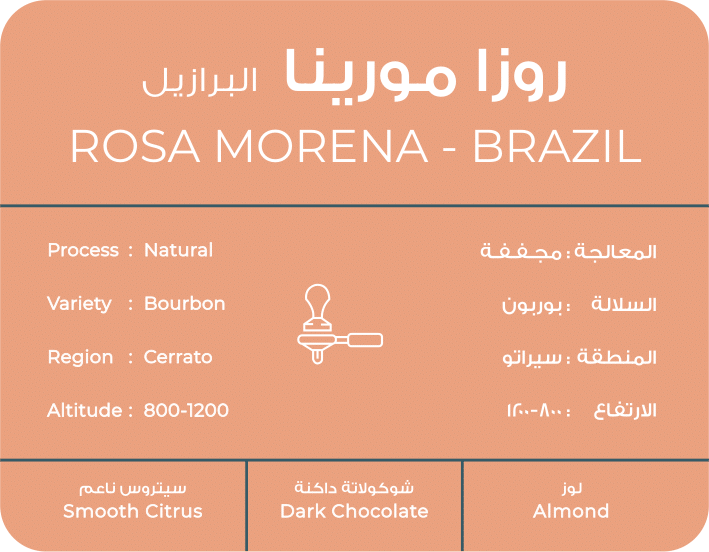 Rosa Morena - Brazil